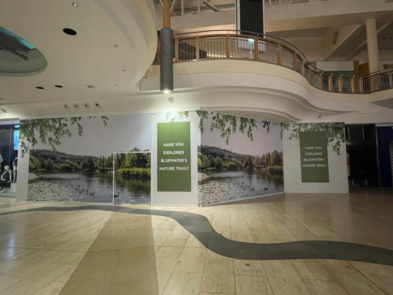 Custom environmental wall murals for office interiors