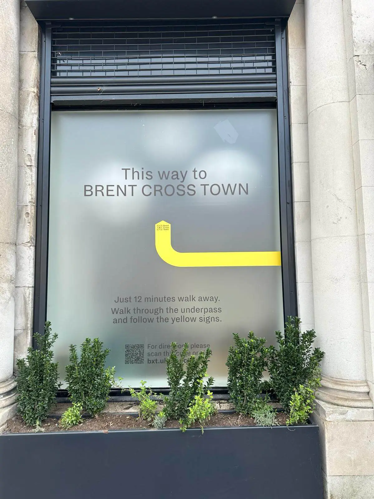 Modern window graphics